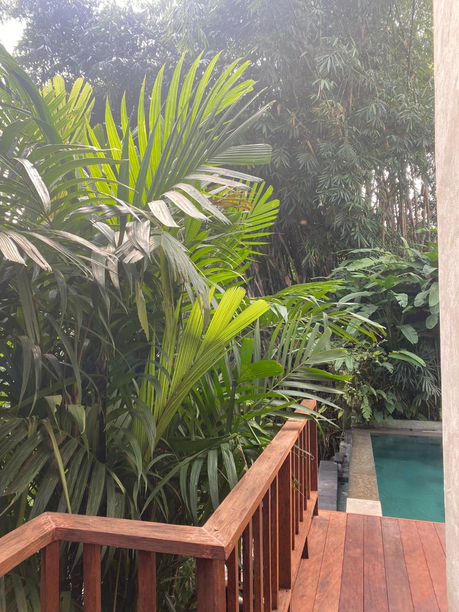 Villa Purnamasari Ubud Exteriör bild